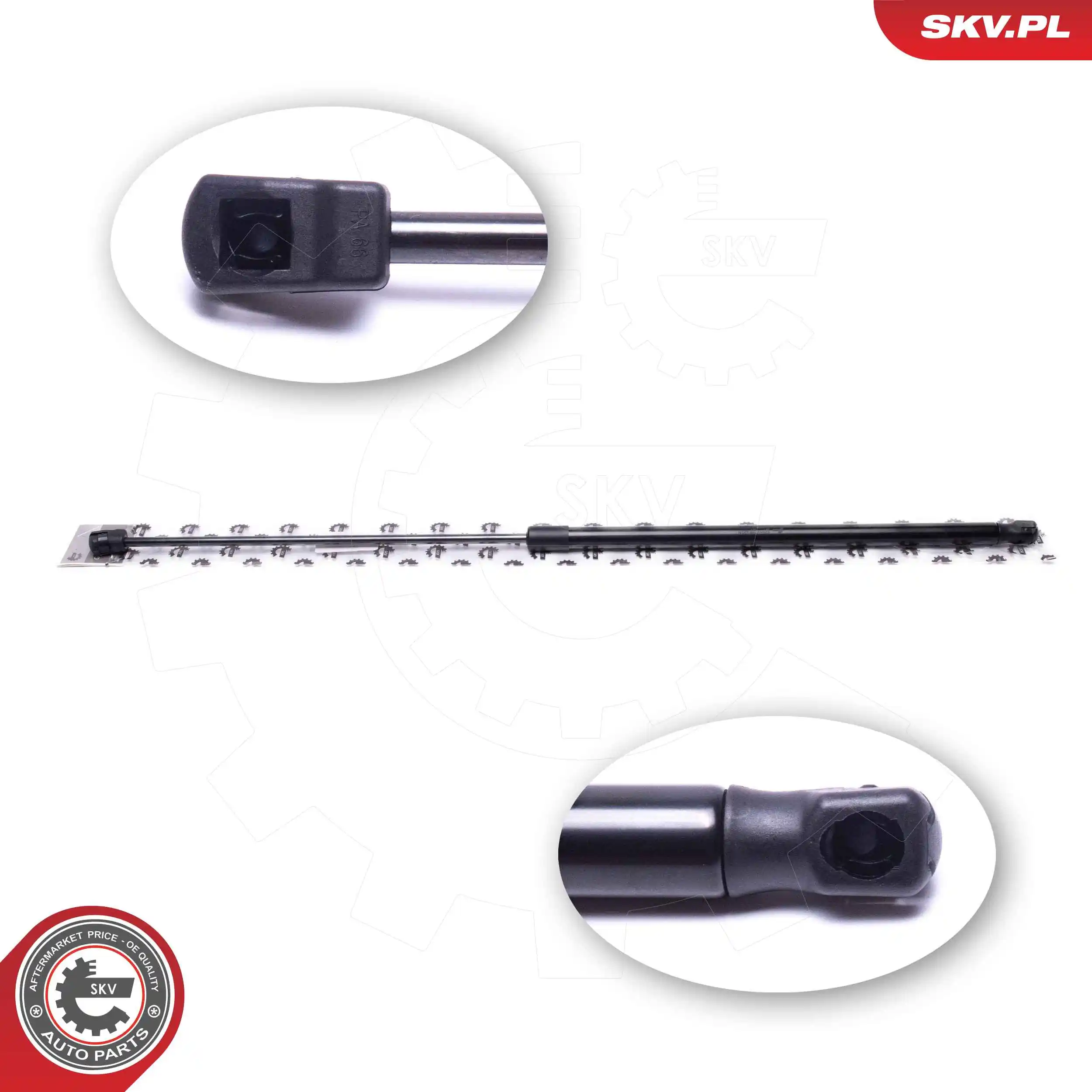 Gas Spring, boot/cargo area